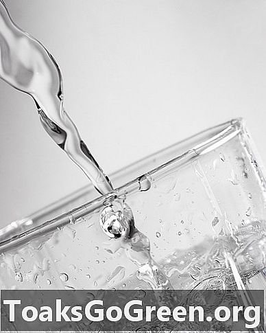 Susan Leal: Tái chế nước thải một cách để chống lại tình trạng khan hiếm nước ngọt