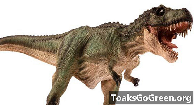 T. Rex kunne ikke stikke tungen ut