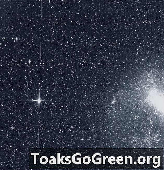Lovec planét TESS dosahuje 1. svetlo