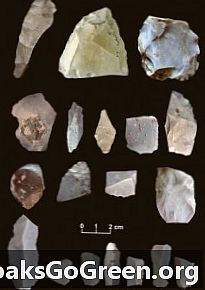 텍사스 지역, 초기 미국인 15,000 세 증거