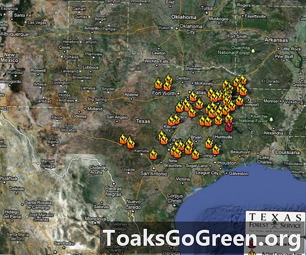 Texas Waldbrände brennen immer noch, als die Winde nachlassen