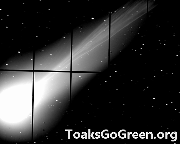 El intrincado flujo de la cola del cometa Lovejoy