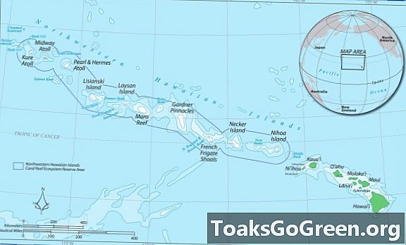 Il bilancio dello tsunami del marzo 2011 sulla fauna selvatica presso l'atollo di Midway