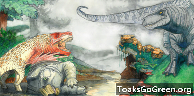 Bu dev croc benzeri etoburlar Triyas dinozorlarını terörize etti
