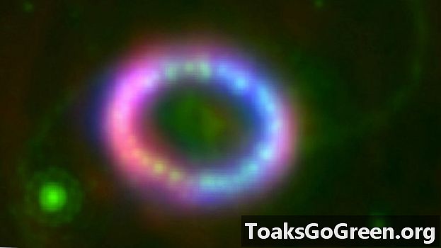 Aquesta data a la ciència: Supernova 1987A
