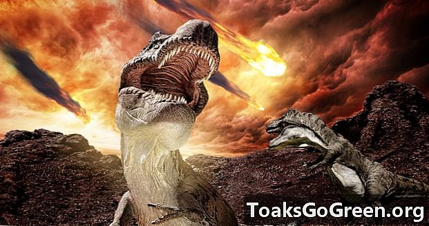 Цунами, горски пожари последваха удари от динозаври