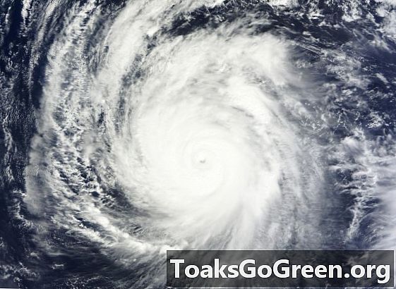 Typhoon Francisco očekával, že udeří Japonsko ještě tento týden