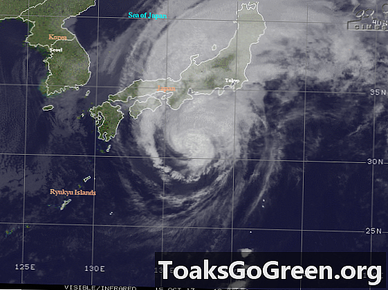 Тайфун Вифа поражает восточное побережье Японии