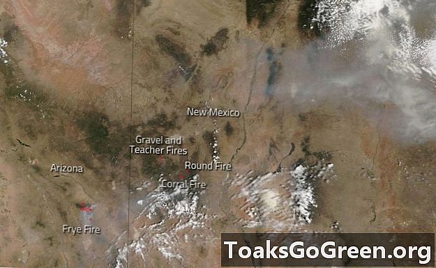 שריפות פראיות בדרום מערב ארצות הברית עדיין בוערות