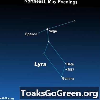 Vega og dens konstellation Lyra