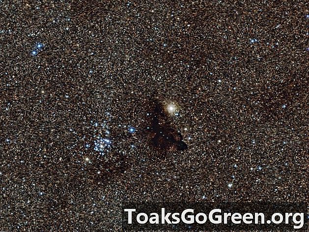 Video: Mag-zoom papunta sa Malaking Sagittarius Star Cloud