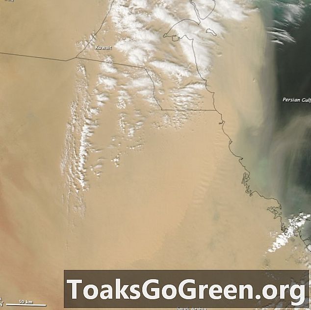 Vista des de l'espai: un dia ennuvolat i polsegós a Kuwait