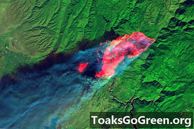 Vaizdas iš kosmoso: „Camp Fire“ dega per rojų