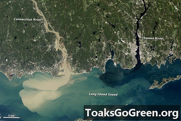 Nhìn từ không gian: Sông Connecticut phun ra trầm tích sau Irene