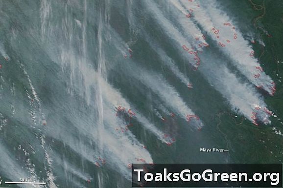 Lihat dari luar angkasa: Kebakaran hutan berkelanjutan di Rusia