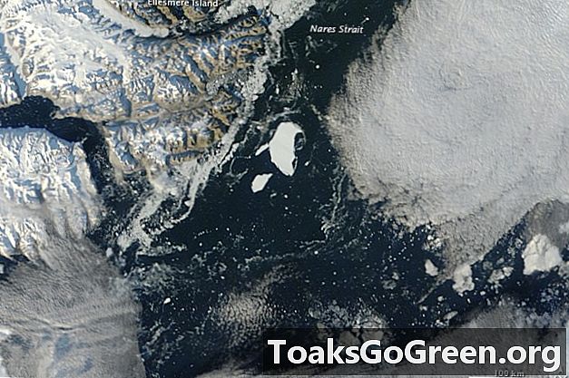 Blick aus dem All: Massiver grönländischer Eisberg treibt jetzt