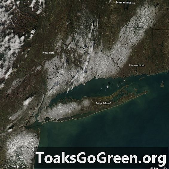 Vista desde el espacio: noviembre ni nevadas de Pascua en el noreste de EE. UU.