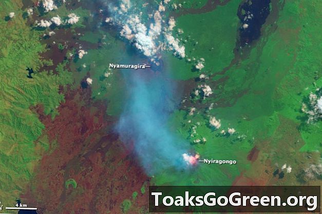 Vue de l'espace: les volcans Nyamuragira et Nyiragongo