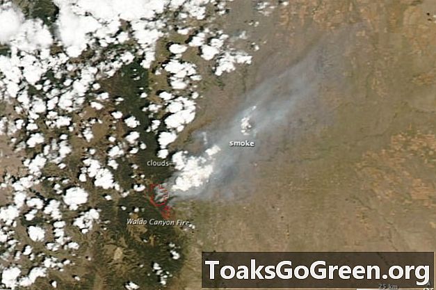 우주에서보기 : 콜로라도와 중앙 러시아의 산불
