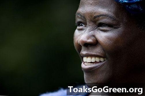 Wangari Maathai, laureat Nobel, pentru plantarea copacilor și protejarea pădurilor