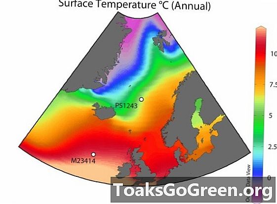 Toplo podnebje - hladna Arktika?