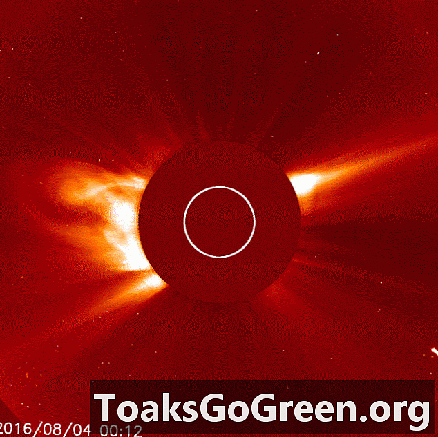 Vaadake komeedi suundumist päikese poole