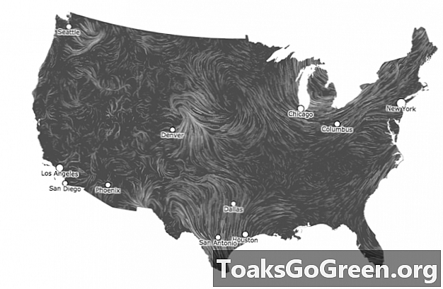 Kijk hoe de wind in realtime door de VS stroomt