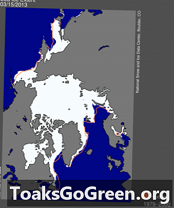 Зашто је ово пролеће Северне хемисфере тако цоол?