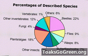 Dlaczego tak wiele (lub tak mało) gatunków?