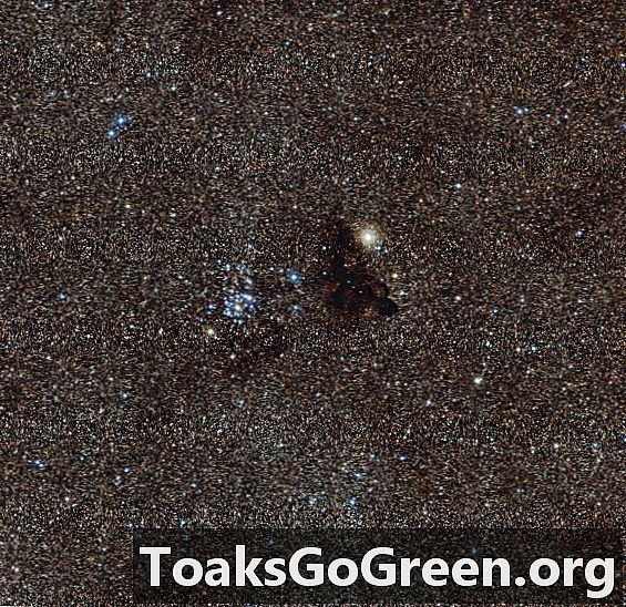 Wide Field Imager klikker på kosmisk gekko