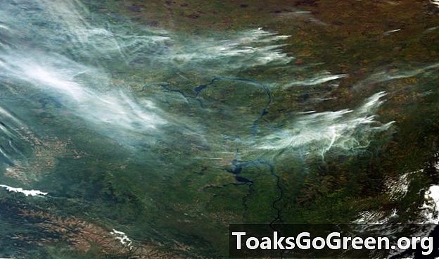 حرائق الغابات في سيبيريا
