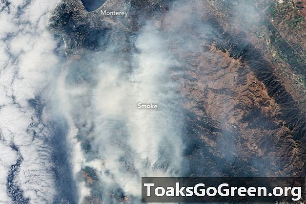 Wildfires i US West blev fordoblet på 30 år