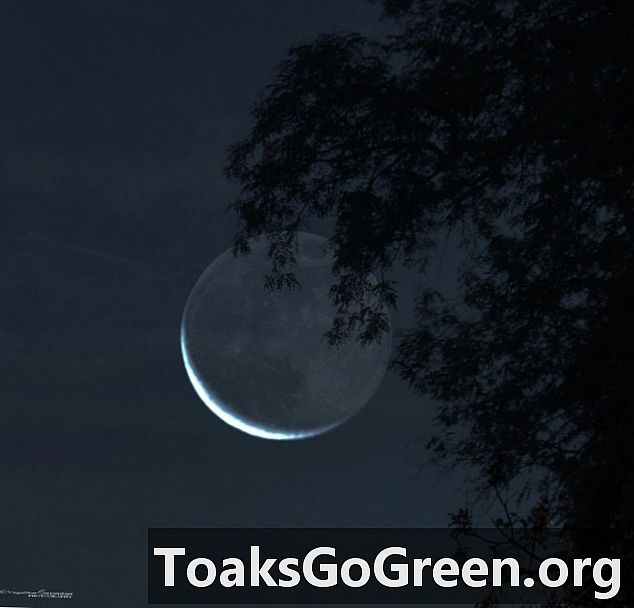 Ser du din ældste måne endnu inden solopgang den 14. oktober?