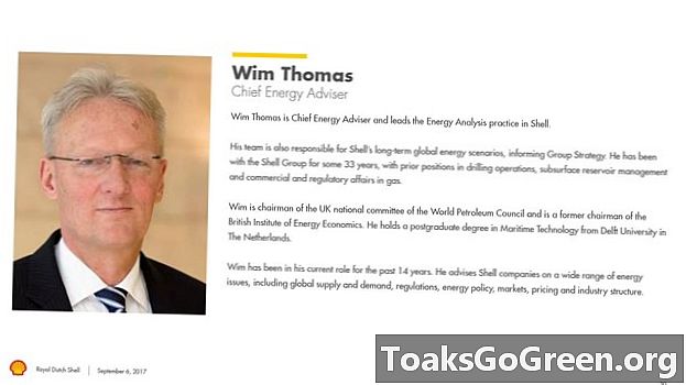 威姆·托马斯（Wim Thomas）谈能源供需