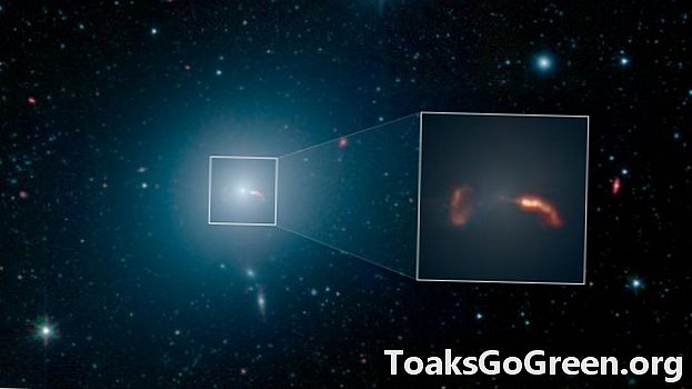 Hai visto la prima foto di un buco nero? Ora vedi la sua galassia domestica