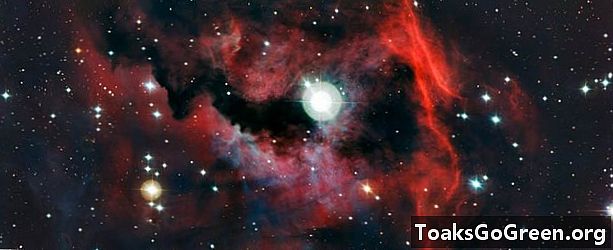Zoom inn på Seagull Nebula