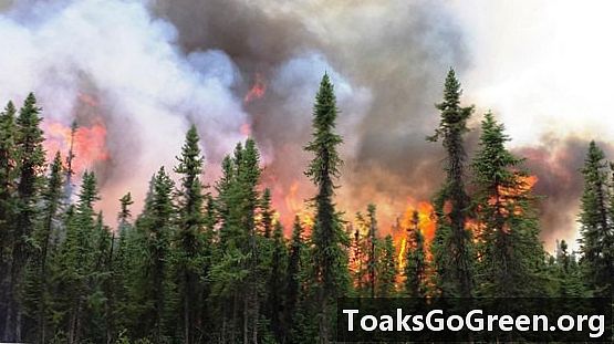 ریکارڈ پر 2015 کا بدترین امریکی جنگل کی آگ