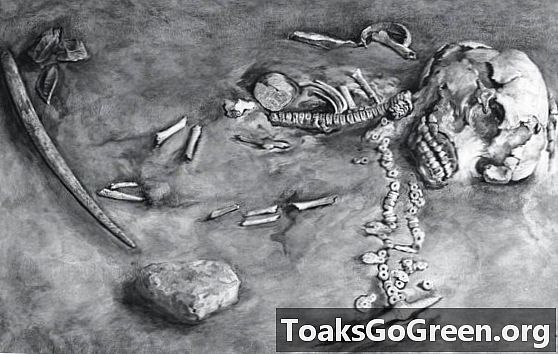24.000 år gammel drenges skelet antyder, at de første amerikanere kom fra Sibirien