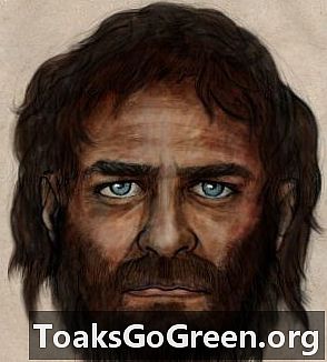7,000岁的狩猎采集者皮肤黝黑，蓝眼睛