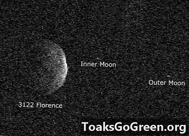 Asteroidas Florence rado 2 mėn
