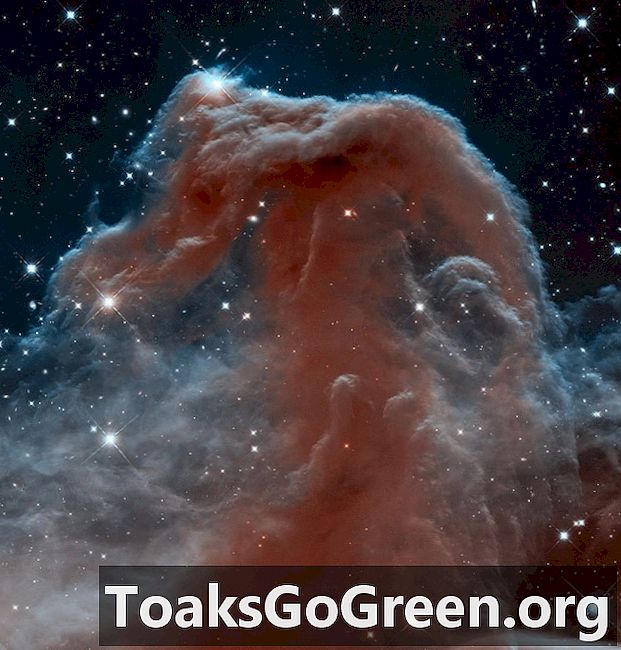Потрясающие! Новое изображение туманности Конская Голова в инфракрасном диапазоне