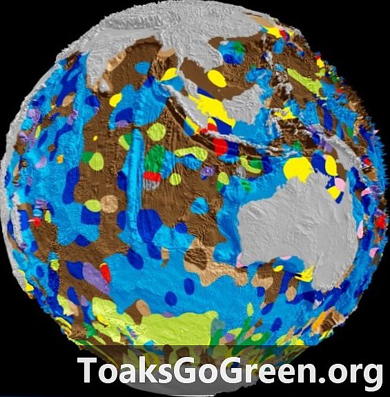 Primer mapa digital del fons oceànic mundial
