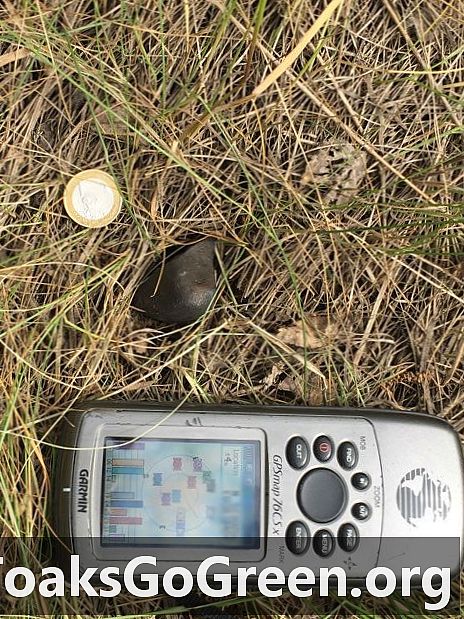 شظايا عثر عليها لكويكب صغير انفجر فوق روسيا الأسبوع الماضي