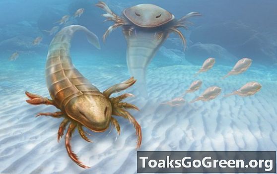 El escorpión marino gigante era un antiguo depredador marino