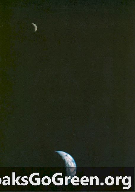 멀리 떨어진 지구와 달의 첫 번째 인물 사진입니다.