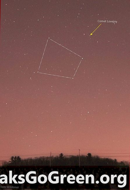 Hoe Comet Lovejoy te zien in december 2013
