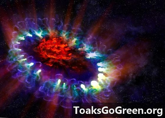 Afbeeldingen van de stoffabriek van een supernova