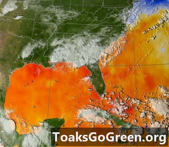 Linked: Incêndios na Amazônia, furacões no Atlântico