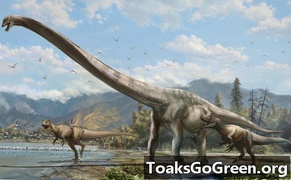 Dinosaurus berleher panjang menjelajahi Cina 160 juta tahun yang lalu