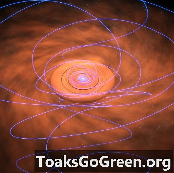 Magnetické polia ťahané a skrútené prachovým diskom mladej hviezdy